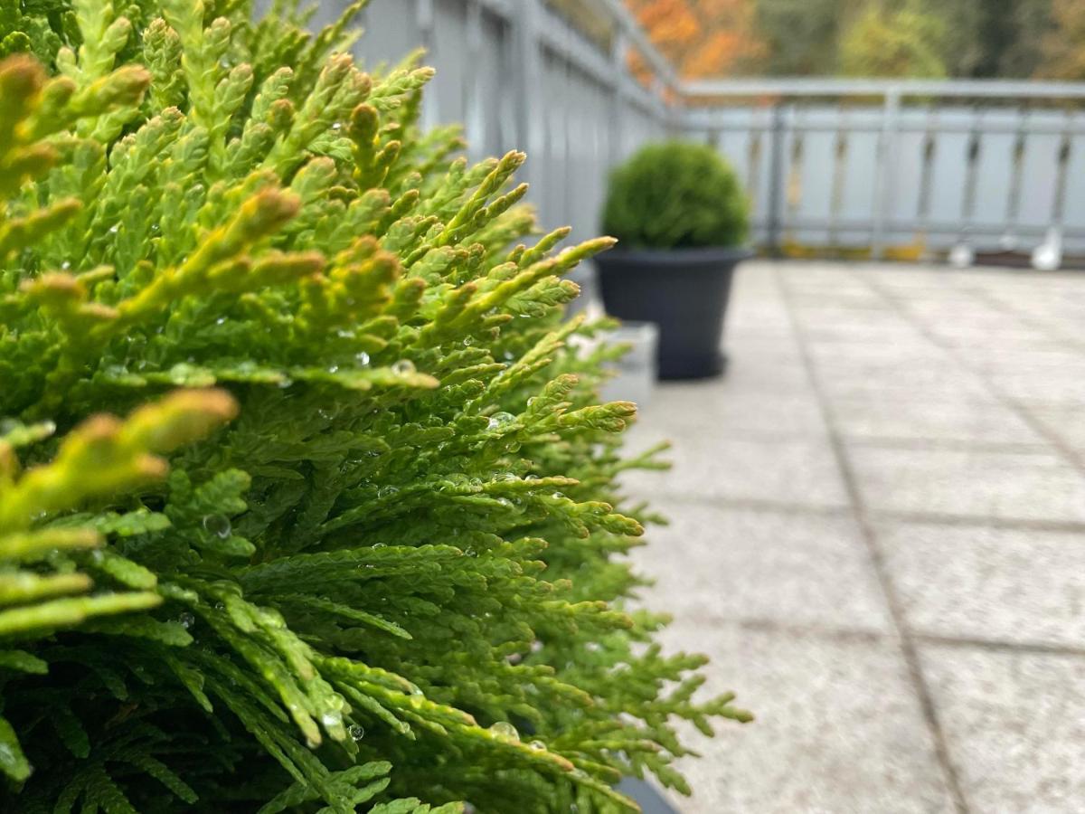 Ferienwohnung Schwarzwald Tannenzaepfle Baiersbronn Exteriér fotografie