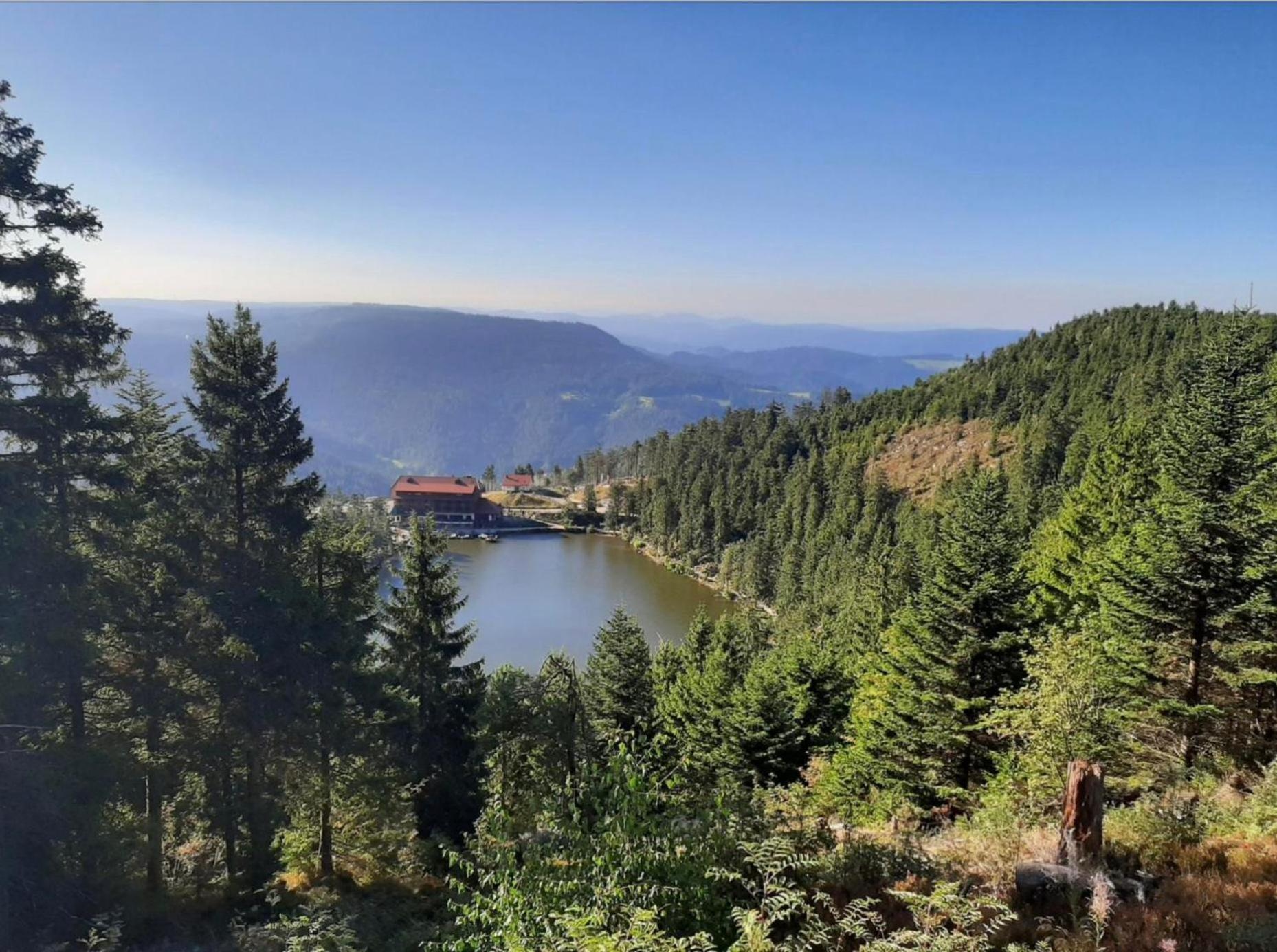 Ferienwohnung Schwarzwald Tannenzaepfle Baiersbronn Exteriér fotografie