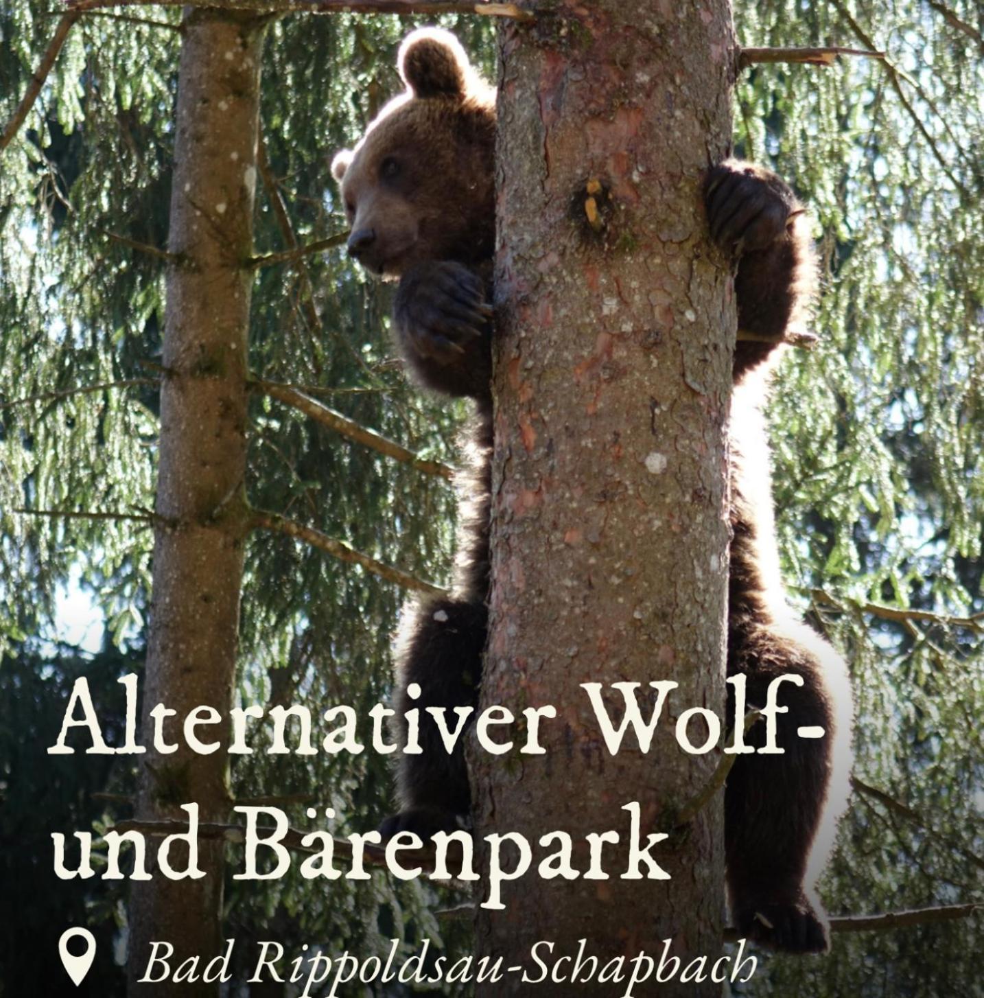 Ferienwohnung Schwarzwald Tannenzaepfle Baiersbronn Exteriér fotografie