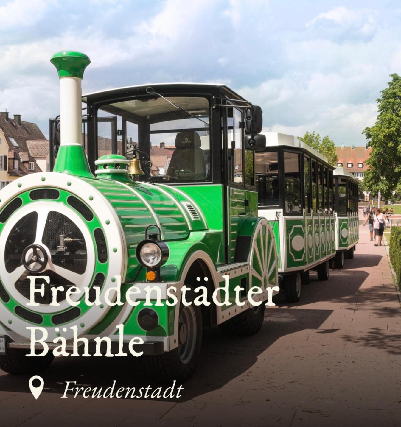 Ferienwohnung Schwarzwald Tannenzaepfle Baiersbronn Exteriér fotografie