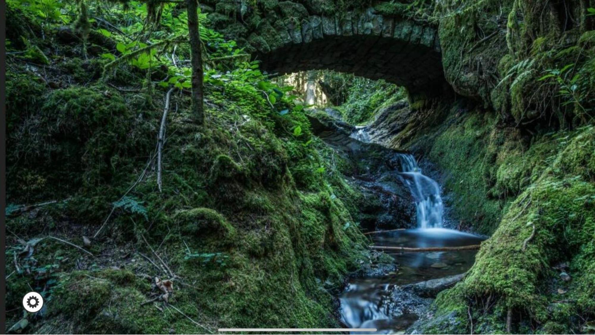 Ferienwohnung Schwarzwald Tannenzaepfle Baiersbronn Exteriér fotografie